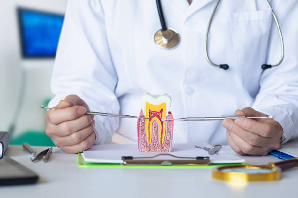 Best Emergency Orthodontic Repairs in South Lockport, NY
